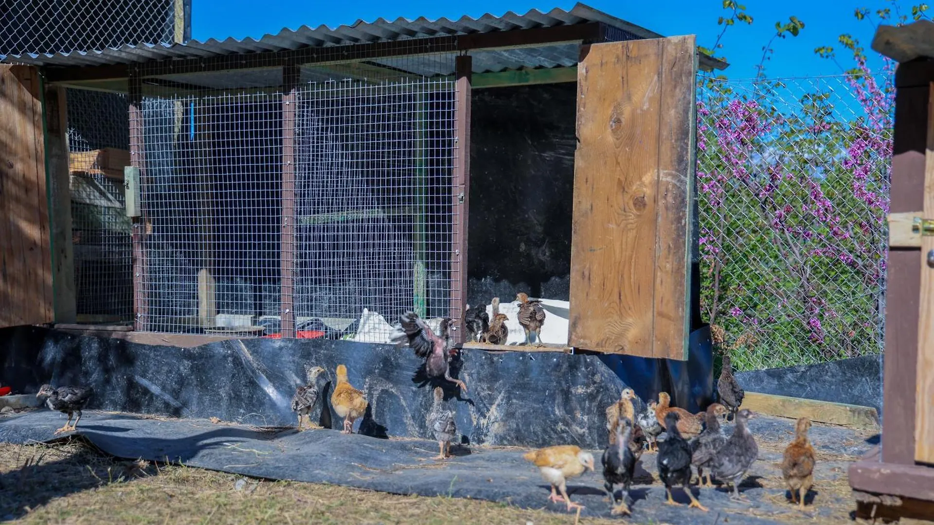 Villa Shpiragu Village Experience Berat Guest house